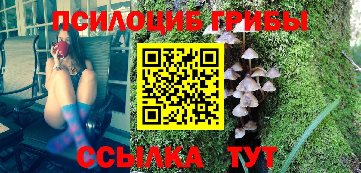 Псилоцибиновые грибы Cubensis Сланцы