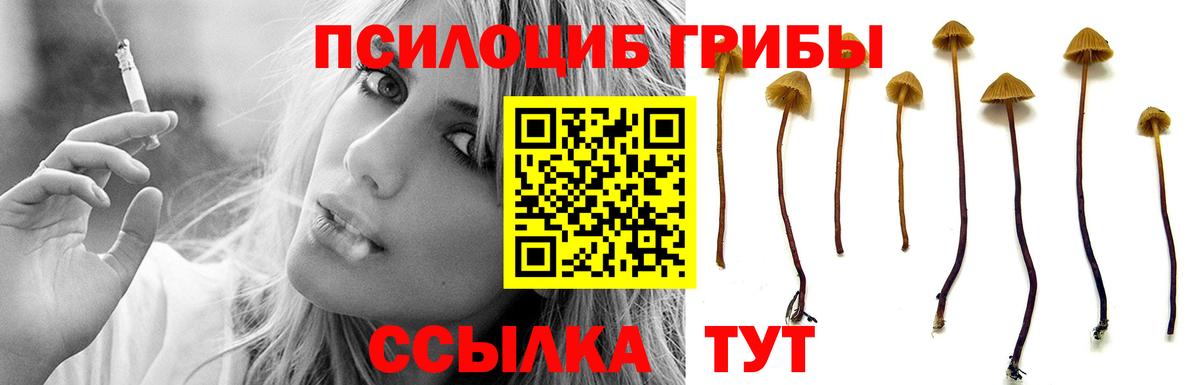 наркотики  Вход с VPN  Сланцы  Галлюциногенные грибы MAGIC MUSHROOMS 